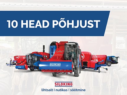 SILOKING - 10 head põhjust