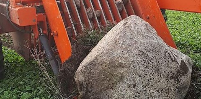 Laumetris kivikoristaja Laumetris kivikoristaja