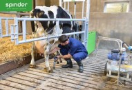 SPINDER farmisisustus