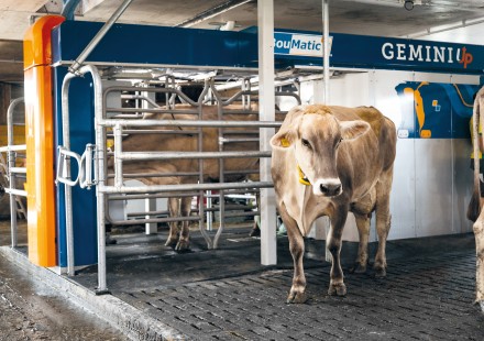 Ühekohaline lüpsirobot GEMINI UP